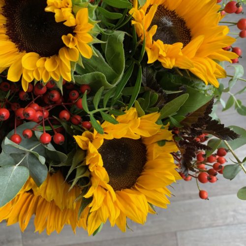 Award winning Plymouth Florist