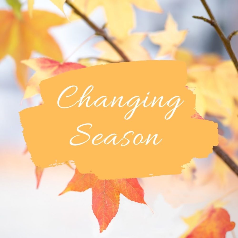 Changing Season