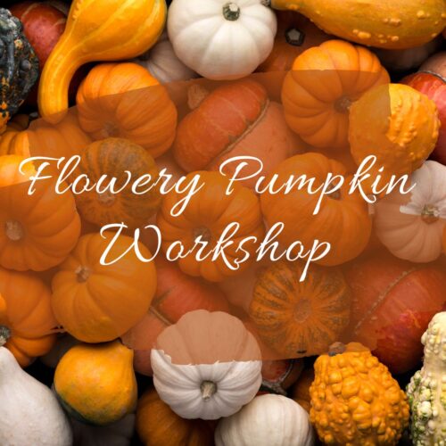 Pumpkin Workshop