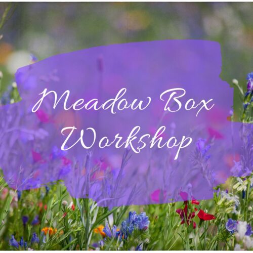 Meadow Box Workshop