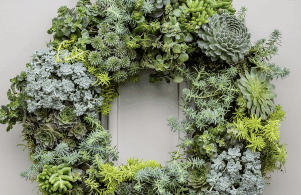 Living Wreath Workshop - Image 2