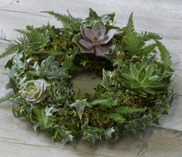 Living Wreath Workshop - Image 3