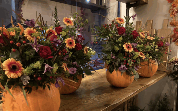 Pumpkin Workshop - Image 3