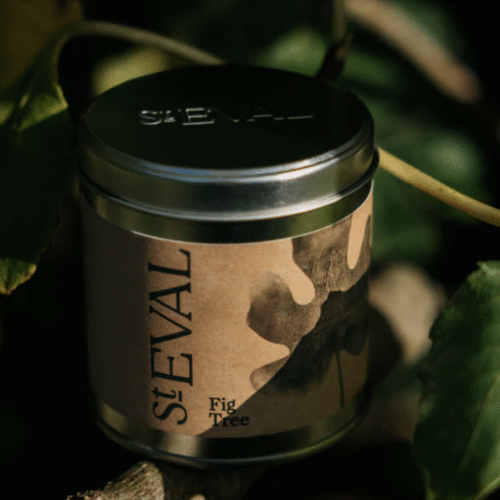 Fig Tree - St. Eval Candle