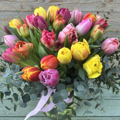 Tulip Bouquet