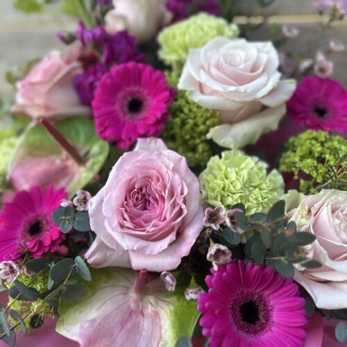 A Pink Showstopper ...