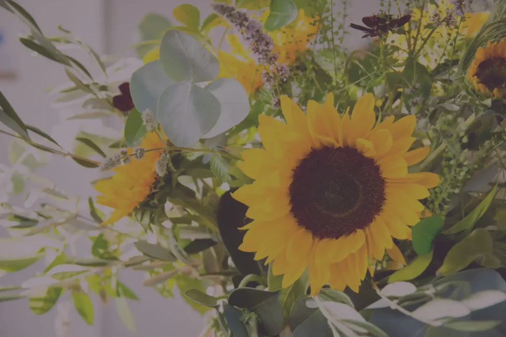 Hannah Burnett Award Winning Florist Plymouth, Cornwall, Devon and Somerset Tom and Sean Wedding -1949